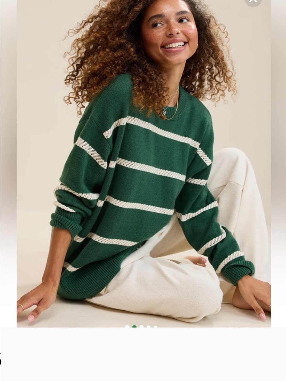 aerie Green and Cream Striped Crewneck Sweater